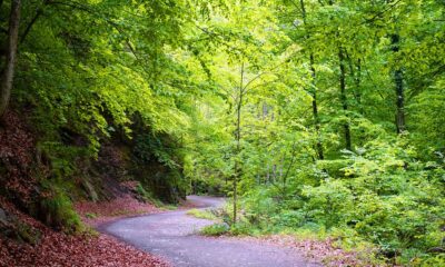 Parcul Național Cozia