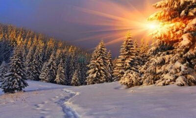 Cat de reala este prognoza meteo in Romania