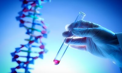 testare genetica wgs