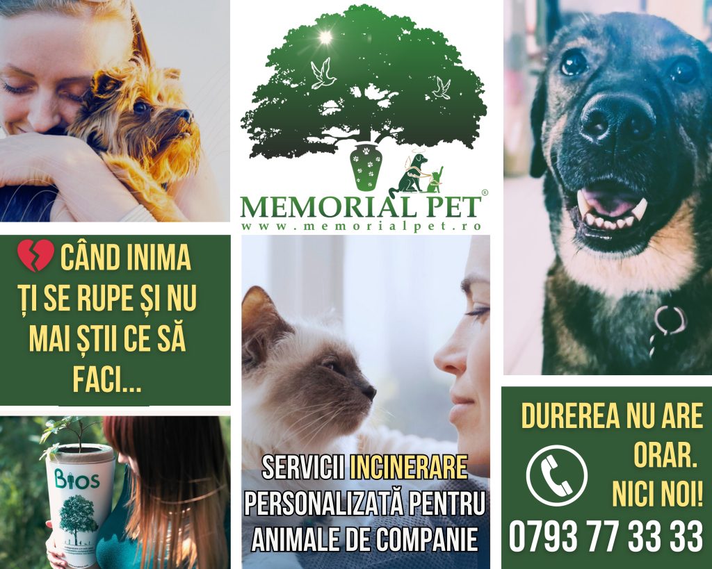memorial Pet Constanta